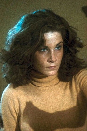 Cover image for Laurie Zimmer