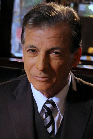 Cover image for Gerardo Romano