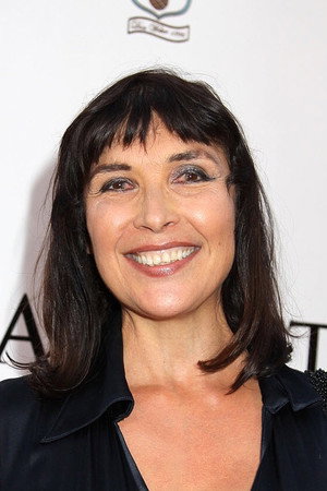 Cover image for Diane Ayala Goldner
