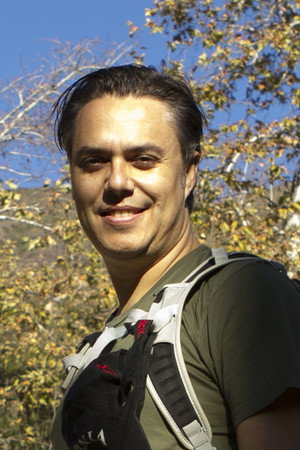 Cover image for David Vyle Levy
