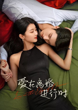 Poster for Love in the Edge of Divorce