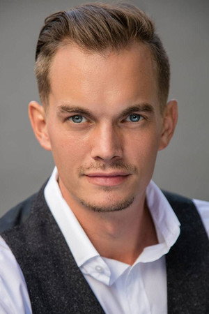 Cover image for Vincent van Hinte
