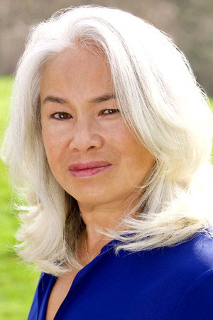 Cover image for Akiko Morison