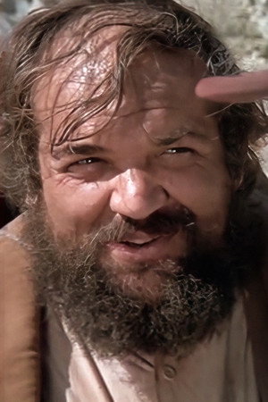 Cover image for Ricardo Palacios