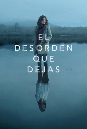 Poster for Беспорядок после тебя