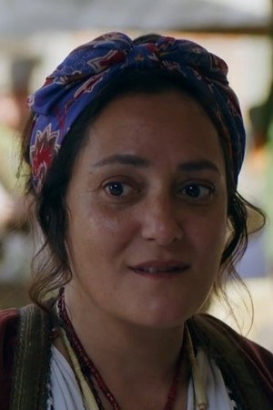 Cover image for Neshe Demir