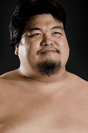 Cover image for Hiroki Sumi