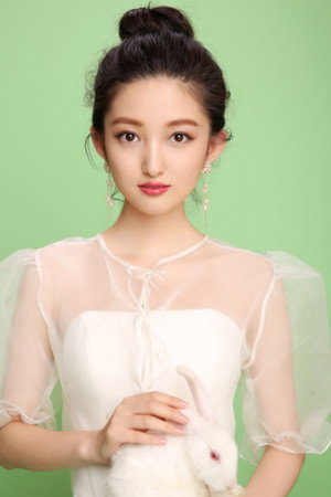 Cover image for Zhang Han