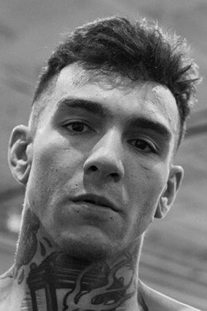 Cover image for Andre Fili