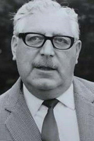 Cover image for Harry Fine