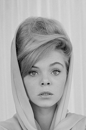 Cover image for Jenny Maxwell
