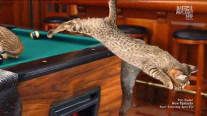 Poster for Эпизод 4