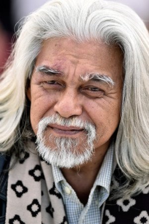 Cover image for Wan Hanafi Su