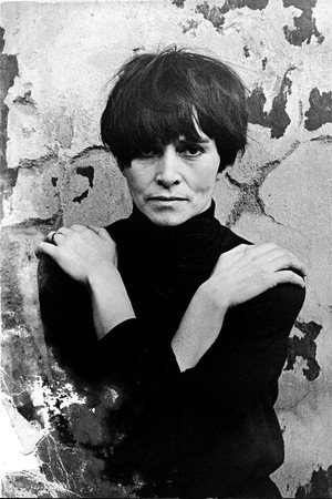 Cover image for Věra Chytilová
