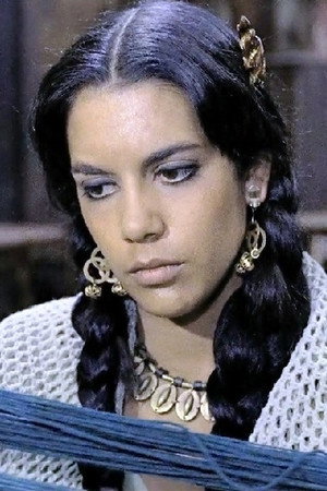 Cover image for Silvana Bacci