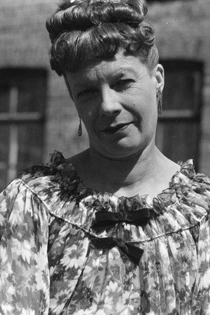Cover image for Verna Piponius