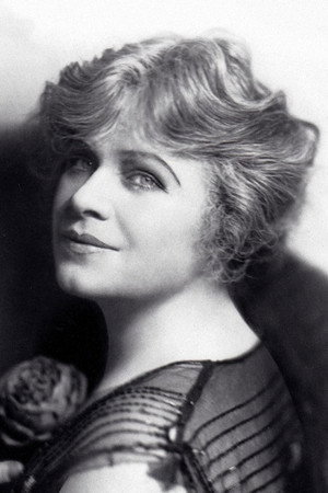 Cover image for Daisy Belmore