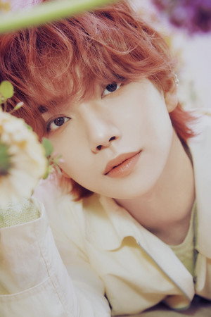 Cover image for 조슈아