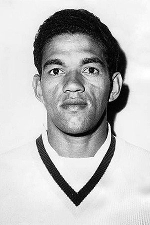 Cover image for Garrincha