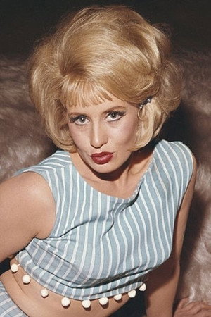Cover image for Sally Nesbitt