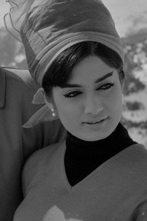 Cover image for Rajshree