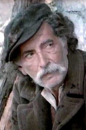 Cover image for Boro Begović