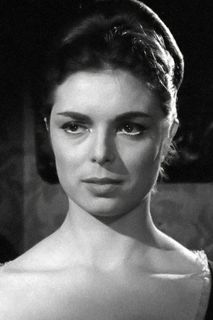 Cover image for María Luisa Rolando