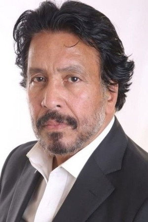Cover image for Magdy Fekry