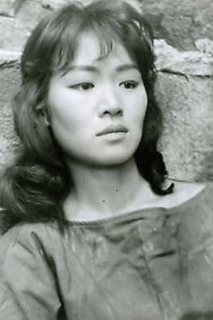 Cover image for Judy Dan