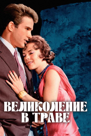 Poster for Splendor in the Grass