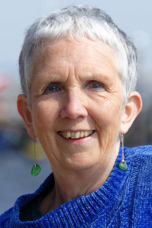 Cover image for Ann Cleeves