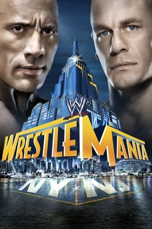 Poster for WWE РестлМания 29