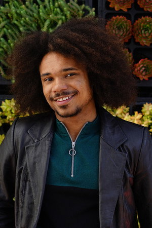Cover image for David S. Robinson Hicks
