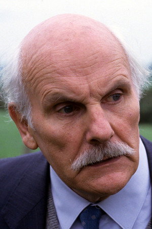 Cover image for Tony Steedman