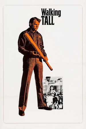 Poster for Широко шагая