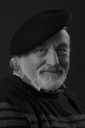 Cover image for Ivo Špalj