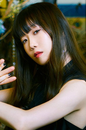 Cover image for Aimer
