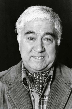 Cover image for Aziz Nesin