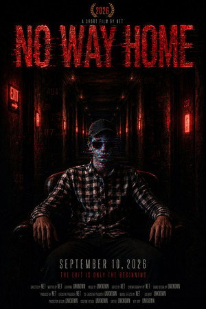 Poster for Нет пути домой