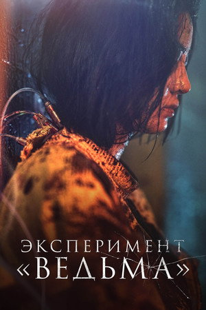 Poster for The Witch: Part 2. The Other One