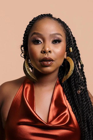 Cover image for Didie Makhubane
