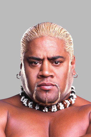 Cover image for Solofa Fatu Jr.