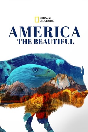 Poster for America the Beautiful
