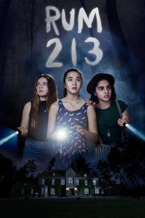 Poster for Комната 213