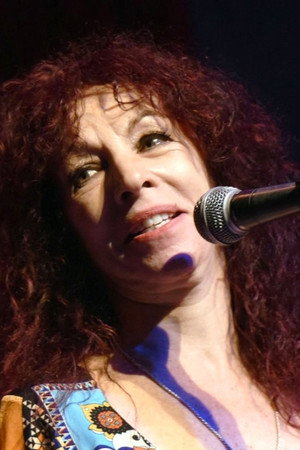 Cover image for Lisa Mende