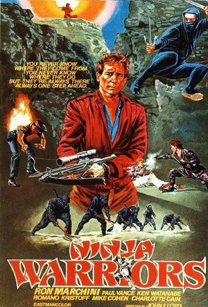 Poster for Воины ниндзя