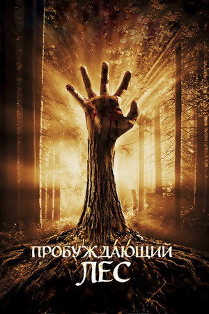 Poster for Wake Wood