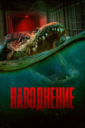 Poster for The Flood
