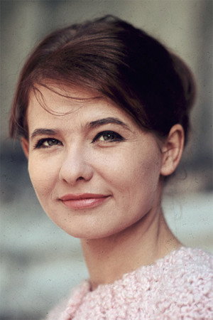 Cover image for Mari Törőcsik
