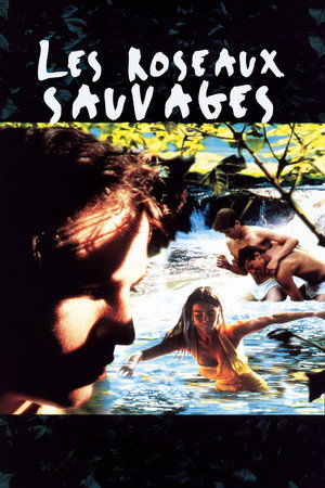 Poster for Wild Reeds